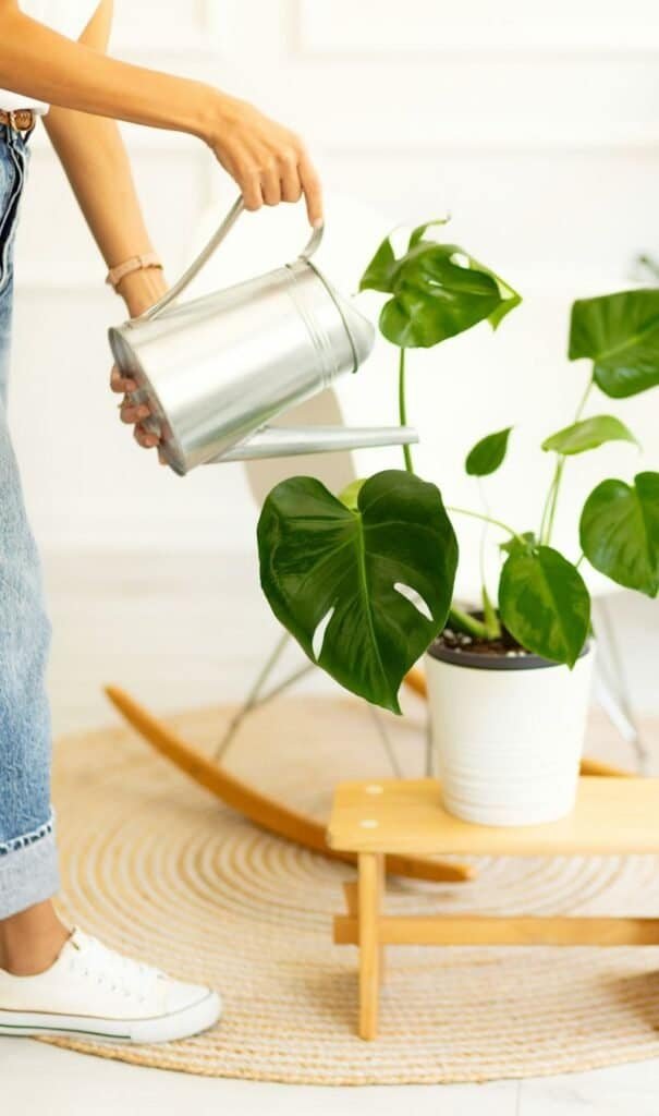A person's hands gently tending to a healthy indoor plant, representing the importance of intention and care over expert knowledge.